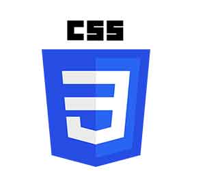 Css Training in Bangalore