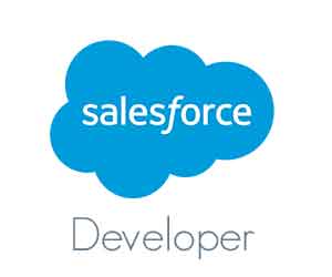 Salesforce Developer Training in Bangalore