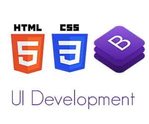 UI Development Training in Bangalore